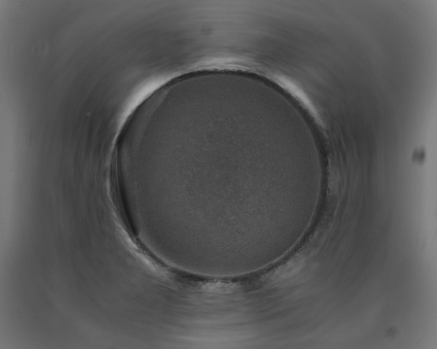 X0000091011277200708021541