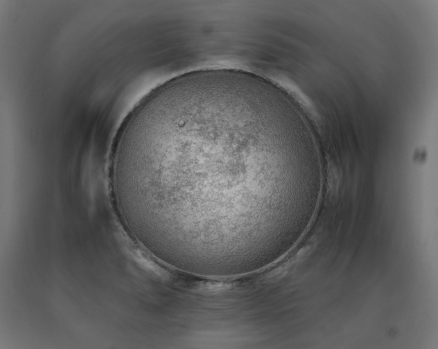 X0000091011278200708021541
