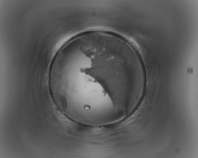 X0000091011279200708021541