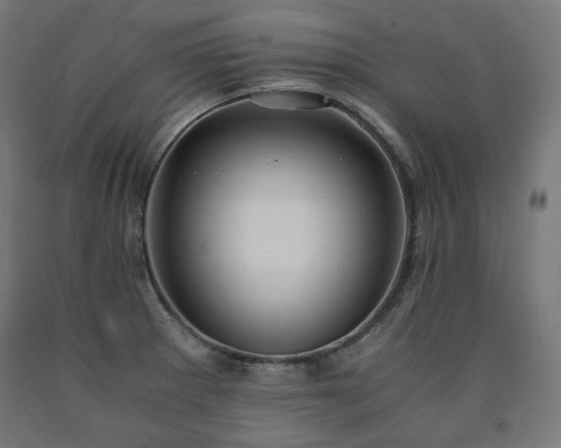 X0000091011281200708021541