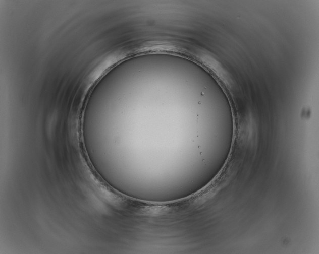X0000091011282200708021541