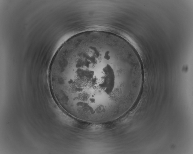 X0000091011283200708021541