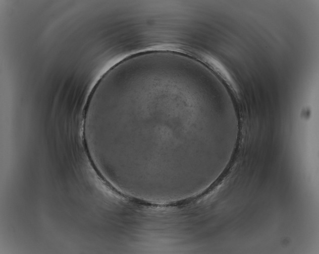X0000091011284200708021541