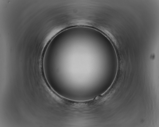 X0000091011285200708021541