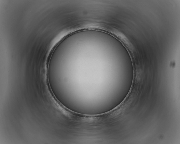X0000091011286200708021541