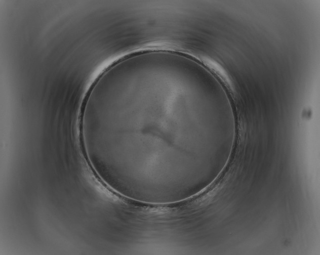 X0000091011288200708021541