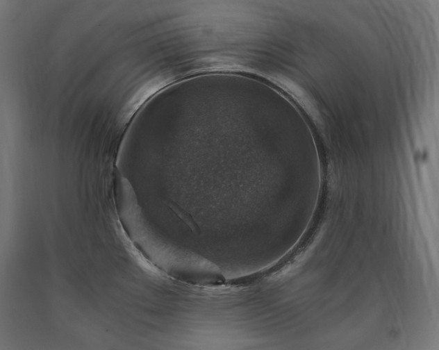 X0000091011289200708021541
