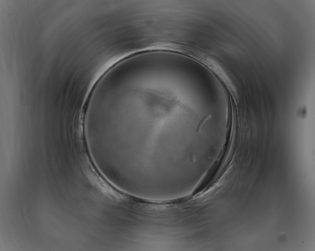X0000091011292200708021540