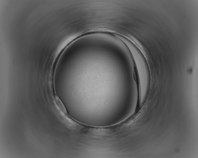 X0000091011293200708021540