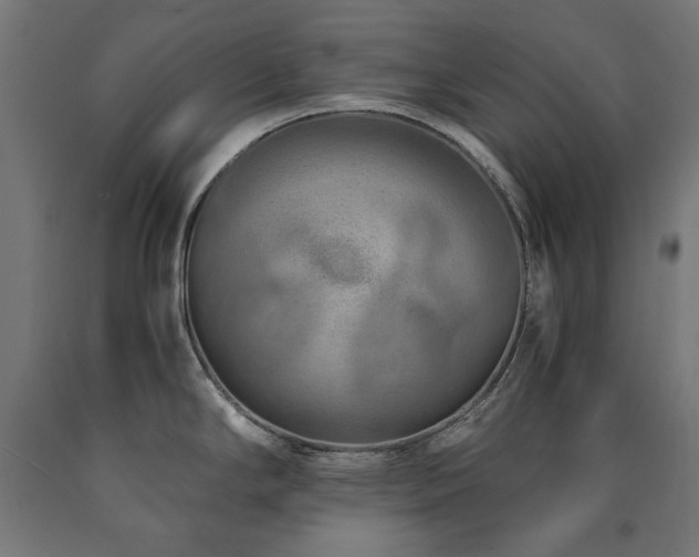 X0000091011294200708021540