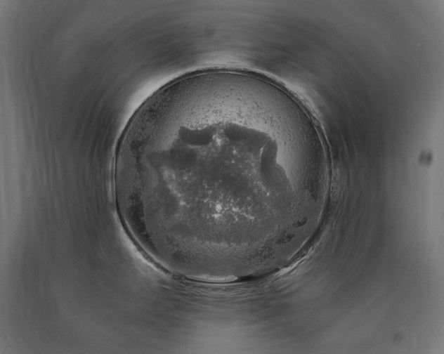 X0000091011295200708021540