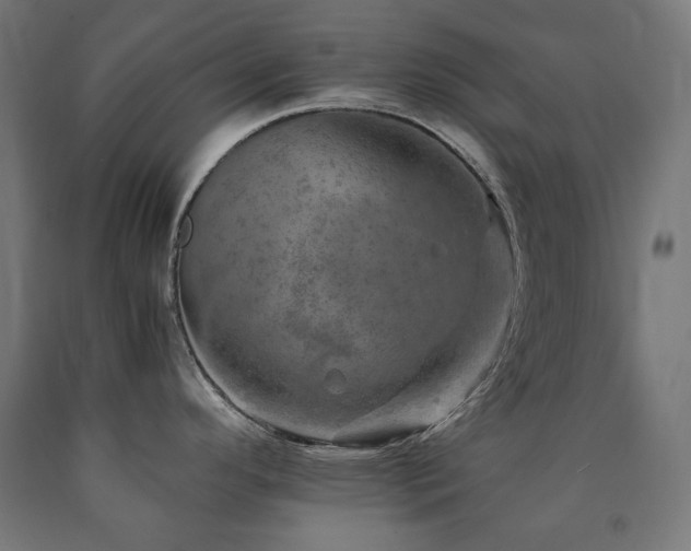 X0000091011296200708021540