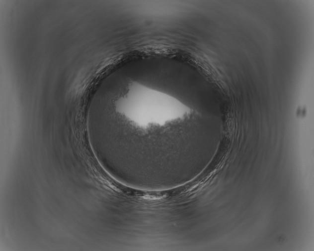 X0000091011297200708021540