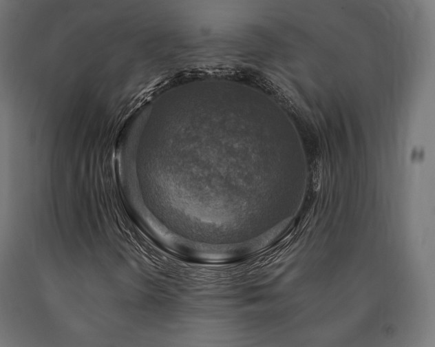 X0000091011298200708021540