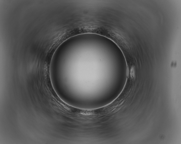 X0000091011299200708021540