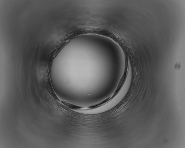 X0000091011300200708021540