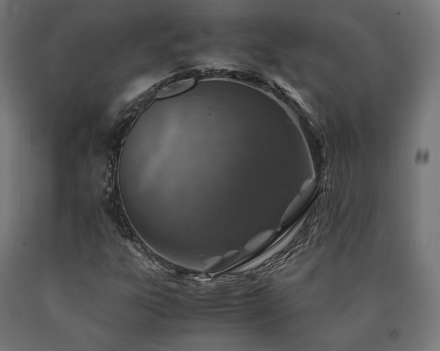 X0000091011303200708021540
