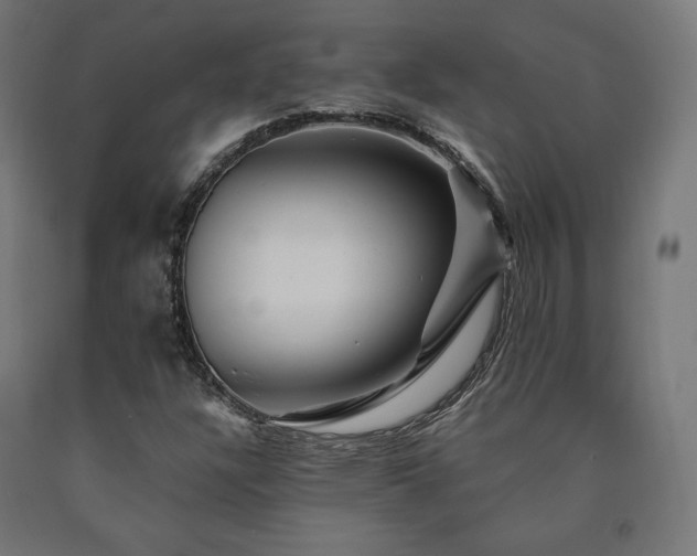 X0000091011304200708021540