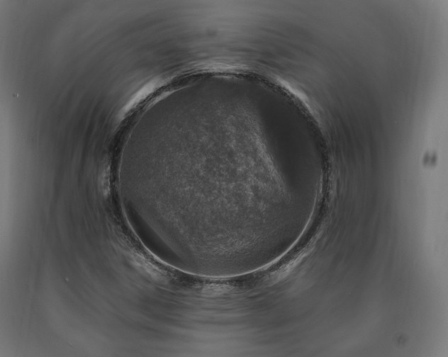 X0000091011306200708021540