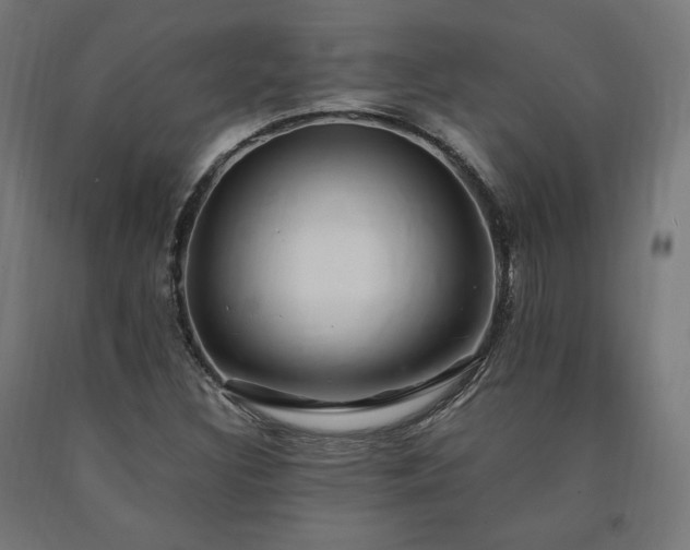 X0000091011308200708021540