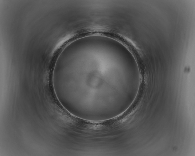 X0000091011309200708021540