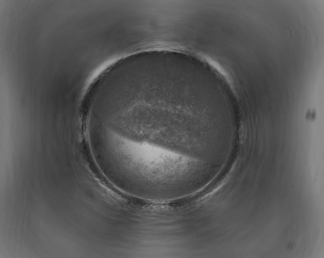 X0000091011310200708021540