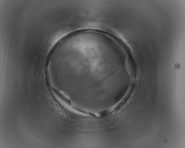 X0000091011312200708021540