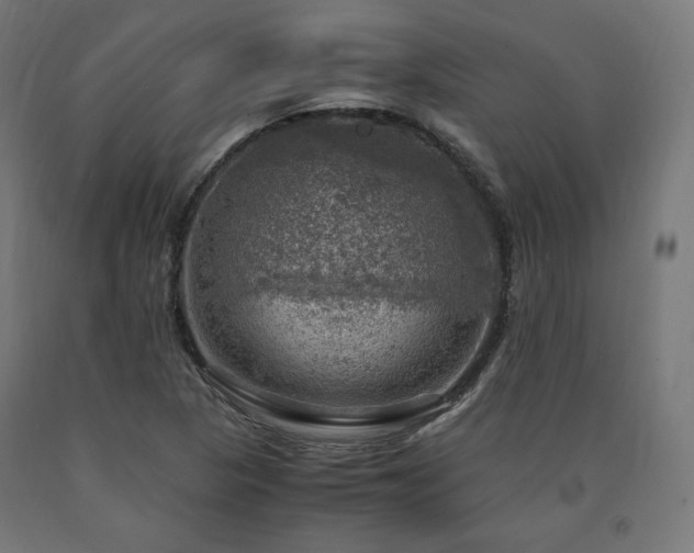 X0000091011313200708021540