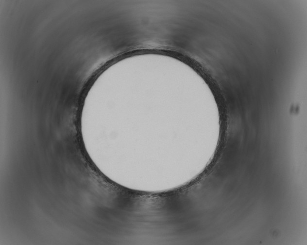 X0000091011314200708021540