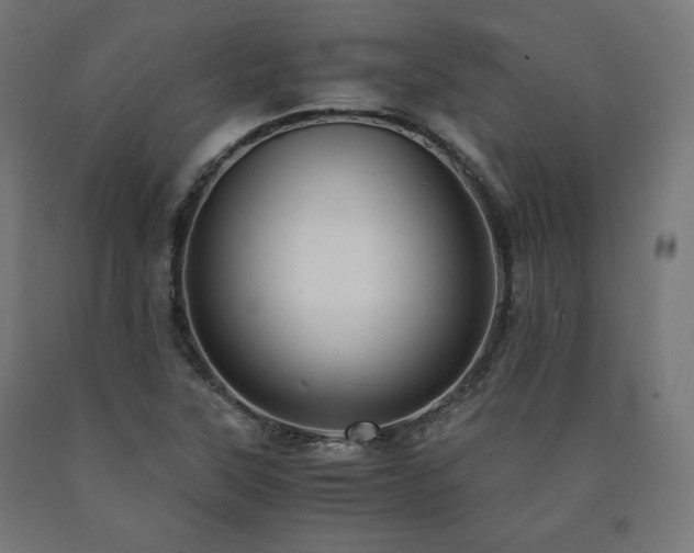 X0000091011315200708021540