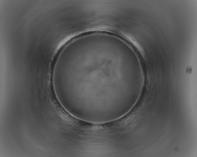 X0000091011316200708021540