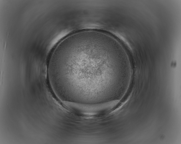 X0000091011317200708021540