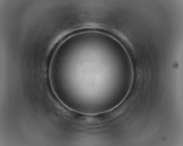 X0000091011318200708021540