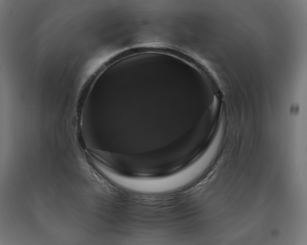 X0000091011319200708021540