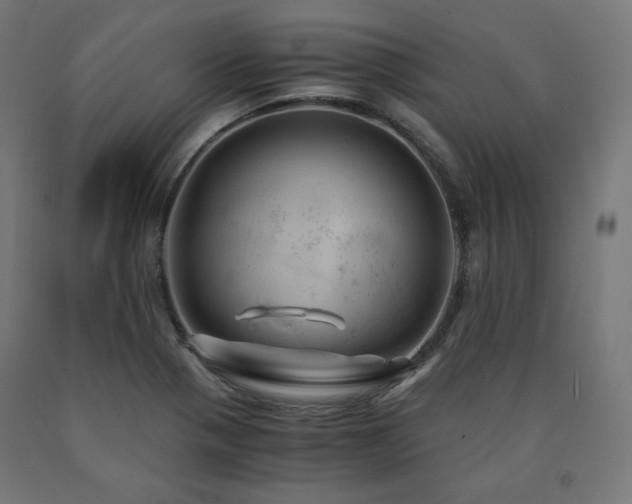 X0000091011321200708021540