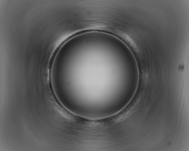 X0000091011324200708021540