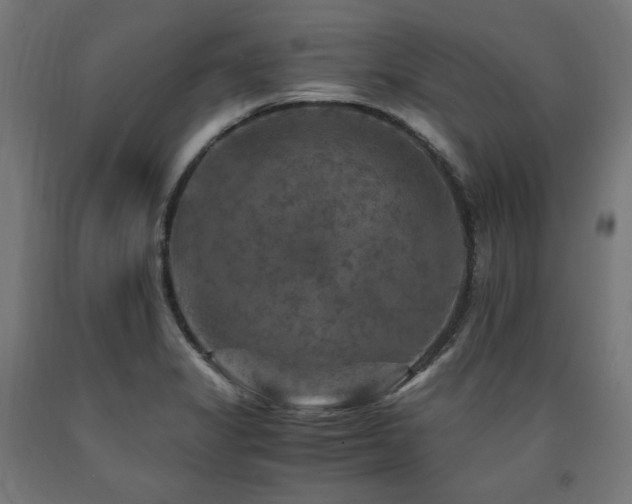 X0000091011325200708021540