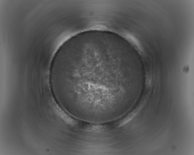 X0000091011326200708021540