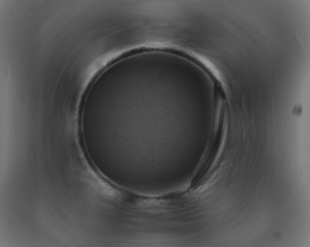 X0000091011327200708021540