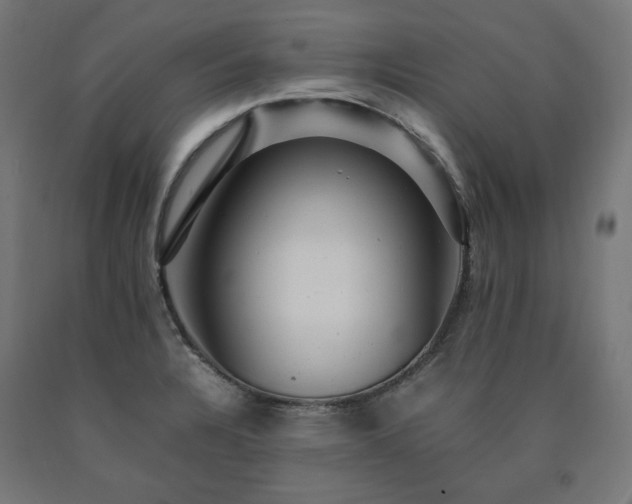 X0000091011328200708021540