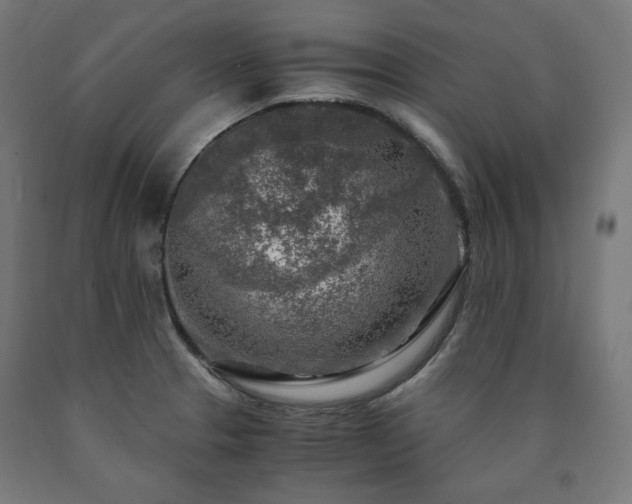 X0000091011329200708021540
