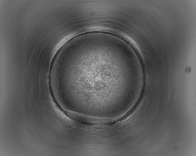 X0000091011330200708021540