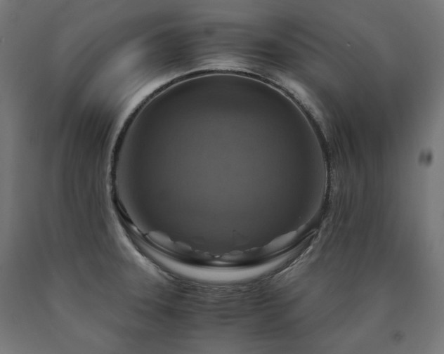 X0000091011331200708021540