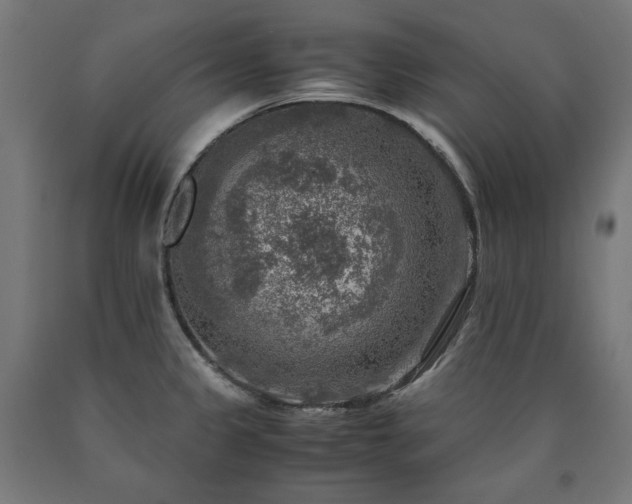 X0000091011333200708021540