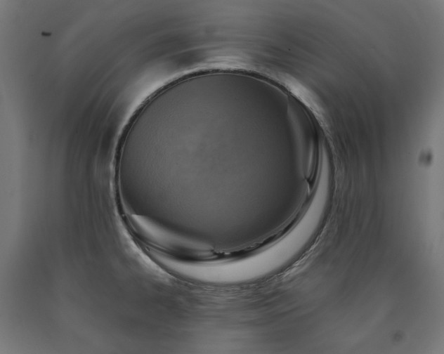 X0000091011334200708021540