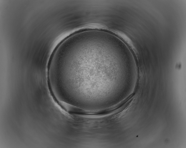 X0000091011335200708021540