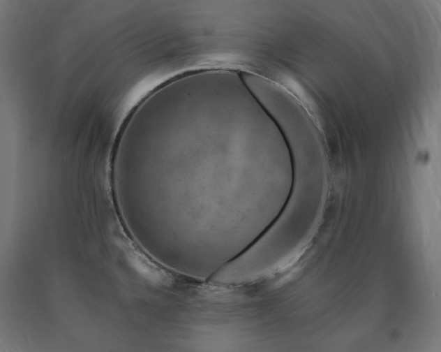 X0000091011336200708021540