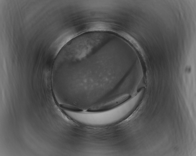X0000091011337200708021540