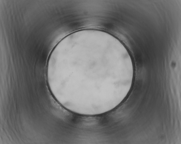 X0000091011338200708021540