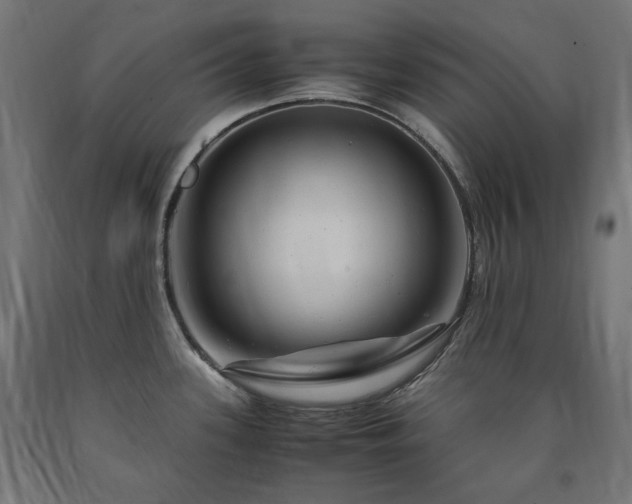X0000091011339200708021540